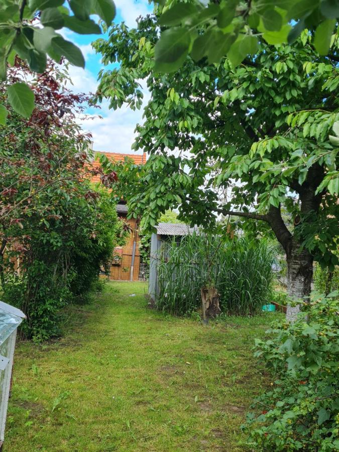 Apartament Wojska Polskiego 35 Villa Wadowice Kültér fotó